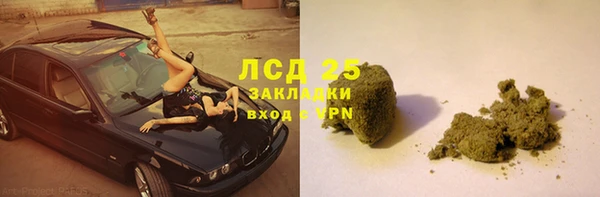 spice Новодвинск