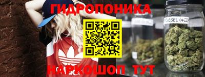 тгк Гусь-Хрустальный
