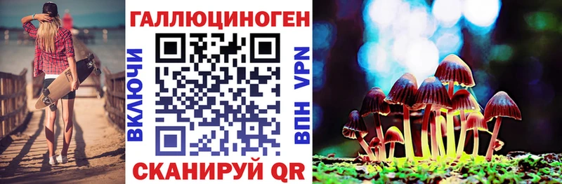MEGA ONION Ярославль Галлюциногенные грибы Cubensis где найти