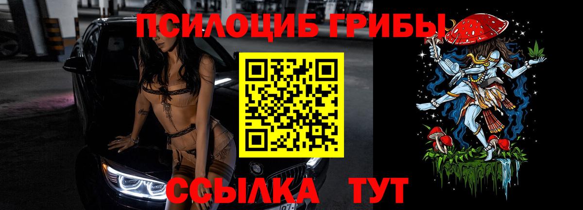 Ярославль  Псилоцибиновые грибы ЛСД  Галлюциногенные грибы Psilocybe  Вход с VPN 